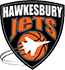 team-logo
