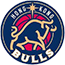 team-logo
