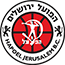 team-logo