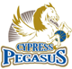 team-logo