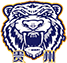 team-logo
