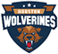 team-logo