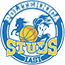 team-logo