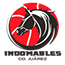team-logo