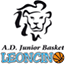 team-logo