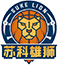 team-logo
