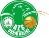 team-logo