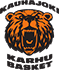 team-logo