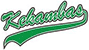 team-logo