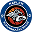 team-logo