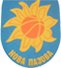team-logo