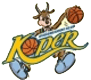 team-logo