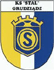 team-logo