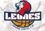 team-logo