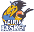 team-logo
