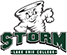 team-logo