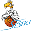 team-logo
