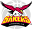 team-logo