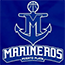 team-logo
