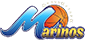 team-logo