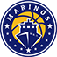 team-logo