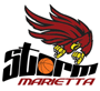 team-logo
