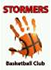 team-logo