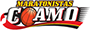 team-logo