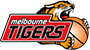 team-logo