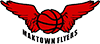 team-logo