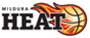 team-logo