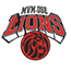 team-logo