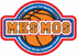 team-logo