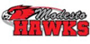 team-logo