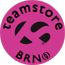 team-logo
