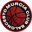 team-logo