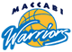 team-logo