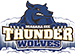 Niagara County logo
