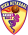 team-logo