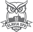 team-logo team-logo