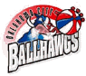 team-logo