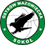 team-logo