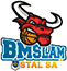 team-logo