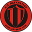 team-logo