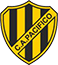 team-logo