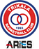 team-logo