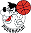 team-logo