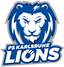 team-logo