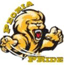 team-logo