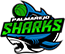team-logo